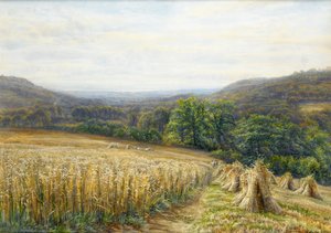 Harvest Time near Ashburton by Edmund George Warren