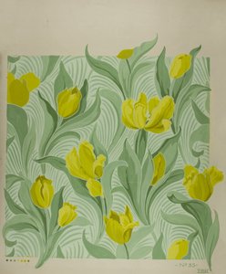 Tulip by Edmund Hunter