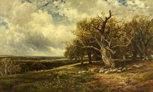 Landscape - Across the Valley