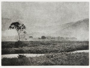 Oze Mist by Edouard Cremieux