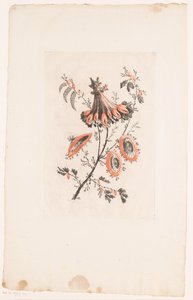 Umbrella-shaped Flowers by Edouard Gautier Dagoty