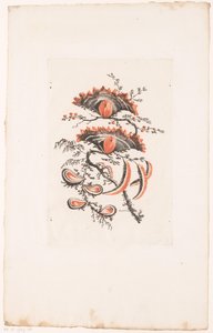 Fan-shaped Flowers (series title) by Edouard Gautier Dagoty