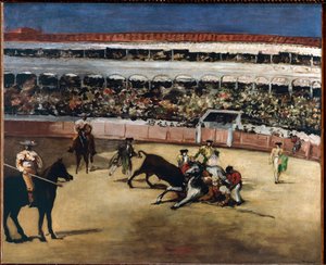 Bulls Fight