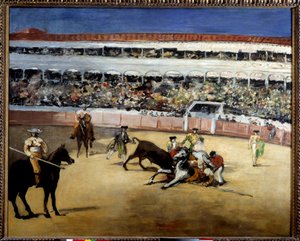 Bullfight