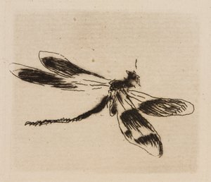 Dragonfly, plate 1 from The River