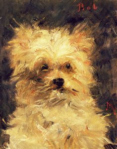 Head of a Dog - Bob