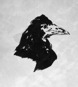 The Raven