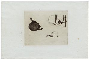 The Cats