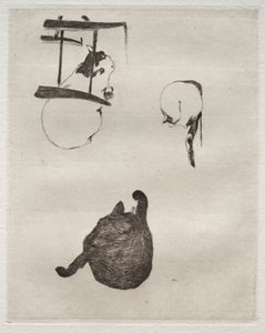 The Cats