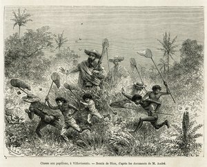 A gang of children hunted for butterflies, accompanied by the author, a Villavicensio (Colombia), drawing by Riou, to illustrate the story of Equinoxiale America (Colombia, Ecuador, Peru), in 1875-1876, by Ed. andre, traveller in charge of mission by the F by Edouard Riou