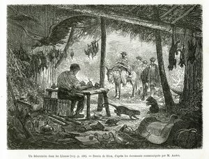 A taxidermy laboratory in the virgin forest, in the region of Llanos (Colombia), drawing by Riou, to illustrate the story of Equinoxiale America (Colombia, Ecuador, Peru), in 1875-1876, by Ed. Andre, traveller mission charge by the French government. Engra