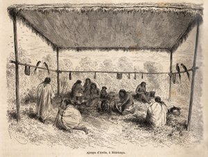 Ajoupa of the Antis Indians, in Biticaraya