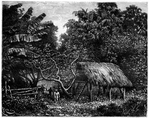 Guyana, South America