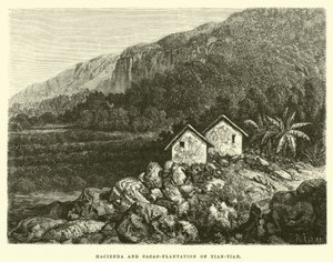 Hacienda and Cacao-Plantation of Tian-Tian