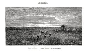 Los Llanos, Venezuela by Edouard Riou