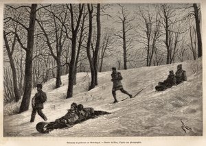 Luges and Skaters at the Plateau du Mont-Royal