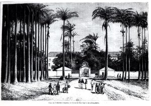 Place des Palmistes, Cayenne, Guyana by Edouard Riou