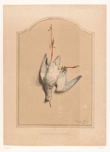 Dead Redshank Hanging by a Leg (Museum of the Hunter) by Edouard Travies