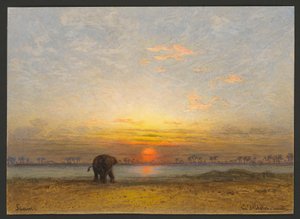Sunset in Siam