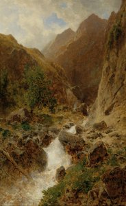 Wild Stream
