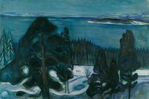 Winter Night