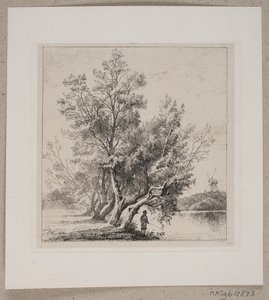 Willow Trees by the City Moat
