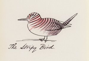 The Bird Book: The Stripy Bird by Edward (after) Lear