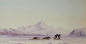 Arctic Scene