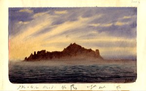 South Trinidad, 1901 by Edward Adrian Wilson