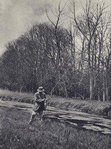 Early Spring on the Kennet