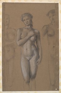 Female Nude - Three Studies, Possibly for Venus