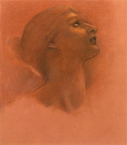 Study for 