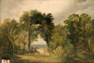 A Woodland Glade
