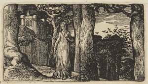 The Lady with the Rooks