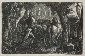 The Ploughman