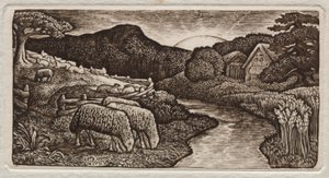 The Sheep of His Pasture