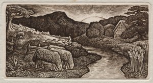 The Sheep of His Pasture