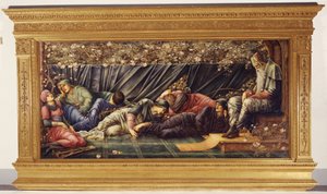 The Briar Rose: The Council Chamber
