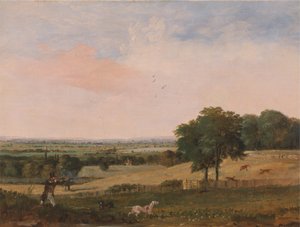 Partridge Shooting