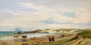 The Bass Rock by Edward Duncan