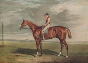 Velocipede, Winner of the St. Leger, 1828 by Edward Duncan