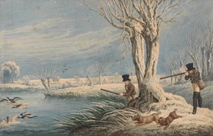 Wild Duck Shooting