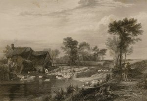 Sheep Washing by Edward Finden
