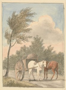 Horse Cart