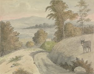 View in Surrey