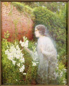 The Spirit of Purity