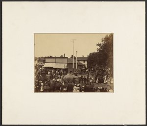 Elephants Walk Through Town, Maple City by Edward H. Hart