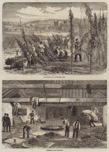Hop Picking in Kent by Edward Hull