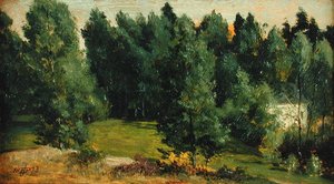A Wooded Landscape