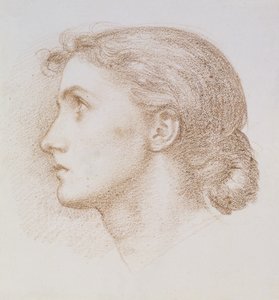 Head Study of a Young Woman